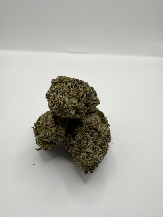 Backpack Boys Black Cherry Gelato