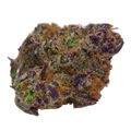 Blue Widow