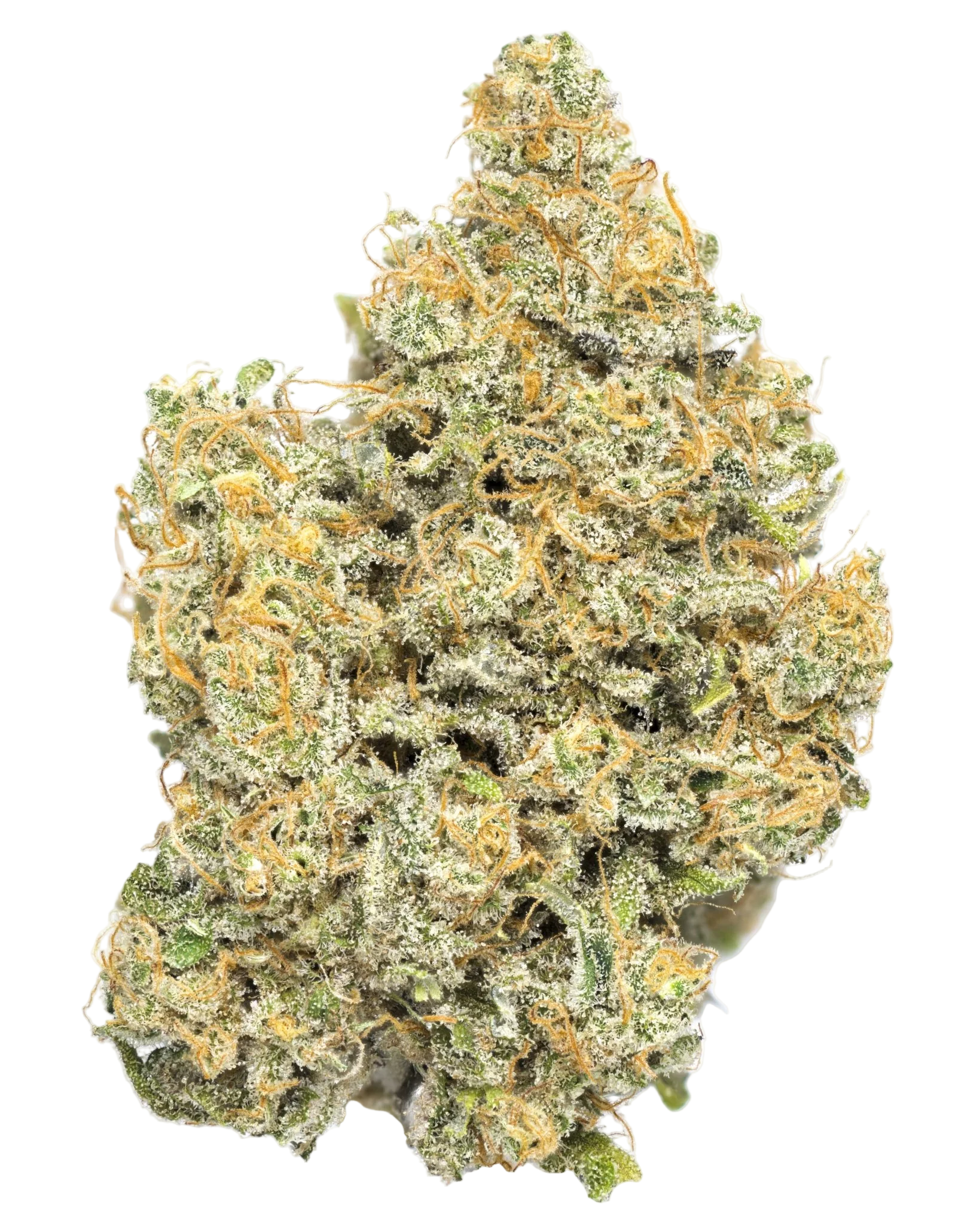 Sour Gummy