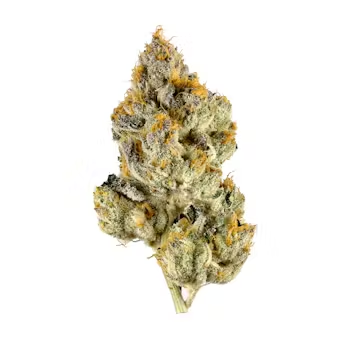 Lemon Cherry Gelato